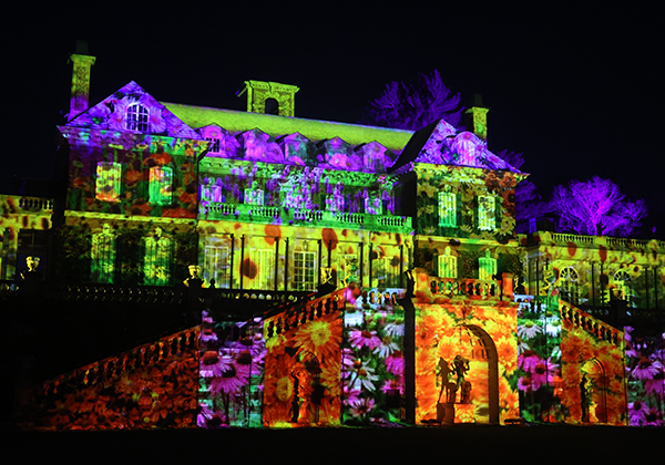 Shimmering Solstice in the Old Westbury Gardens
