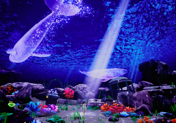 Case Study: 9bo's Lobster Swimming music video